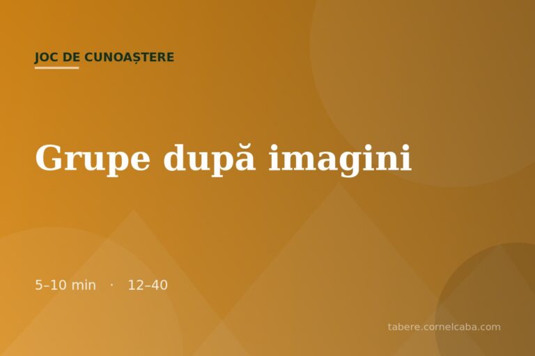 Ilustrație pentru jocul Grupe după imagini