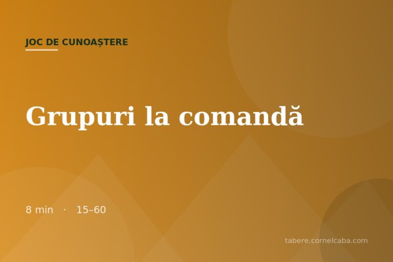 Ilustrație pentru jocul Grupuri la comandă