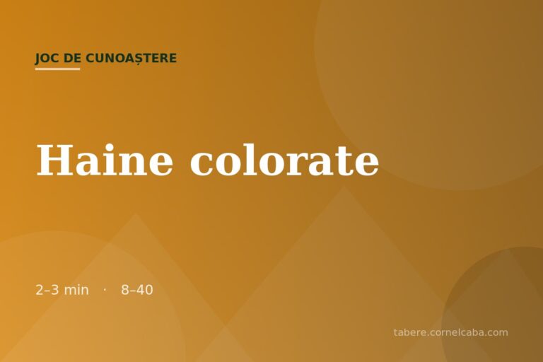 Ilustrație pentru jocul Haine colorate
