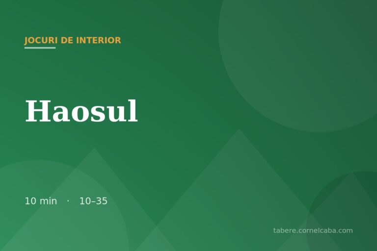 Ilustrație pentru jocul Haosul