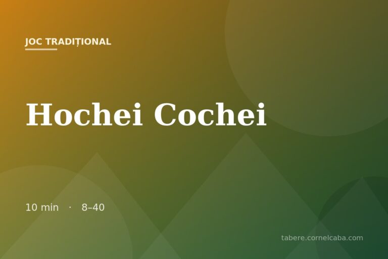Ilustrație pentru jocul Hochei Cochei