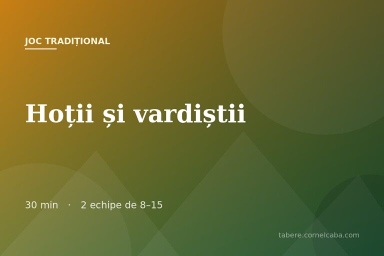 Ilustrație pentru jocul Hoții și vardiștii