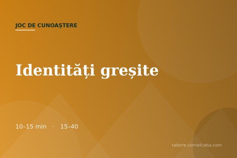 Ilustrație pentru jocul Identități greșite