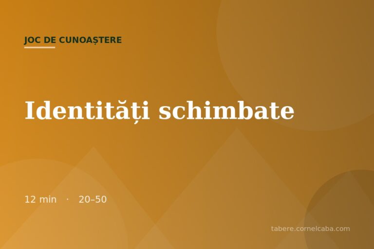 Ilustrație pentru jocul Identități schimbate