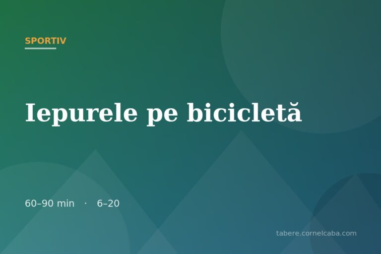 Ilustrație pentru jocul Iepurele pe bicicletă