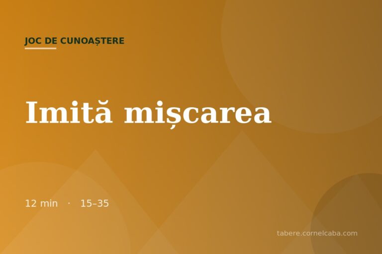 Ilustrație pentru jocul Imită mișcarea