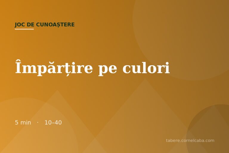 Ilustrație pentru jocul Împărțire pe culori