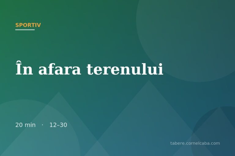 Ilustrație pentru jocul În afara terenului