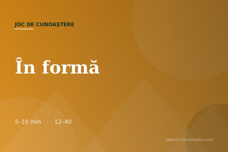 Ilustrație pentru jocul În formă