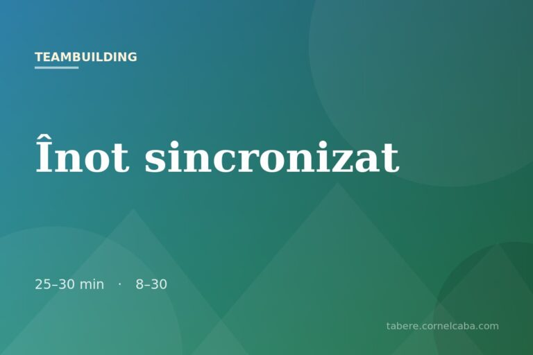 Ilustrație pentru jocul Înot sincronizat