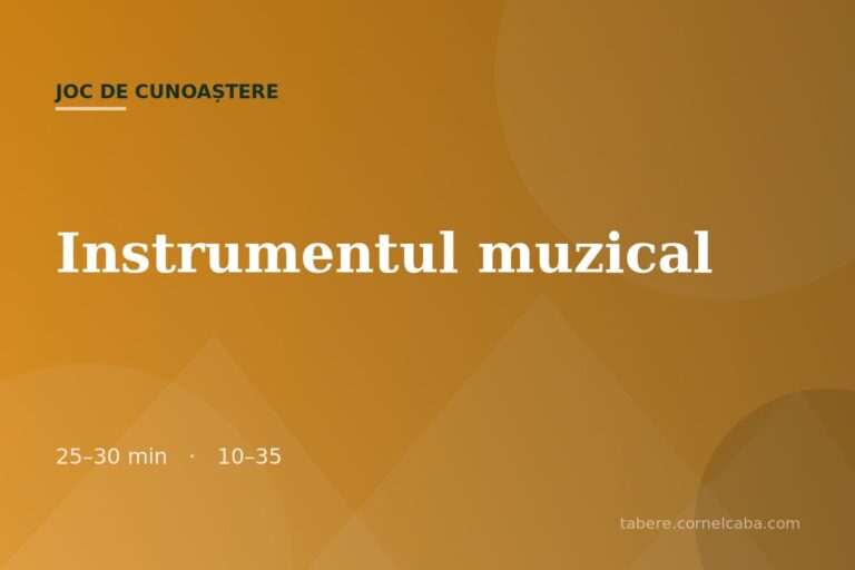 Ilustrație pentru jocul Instrumentul muzical