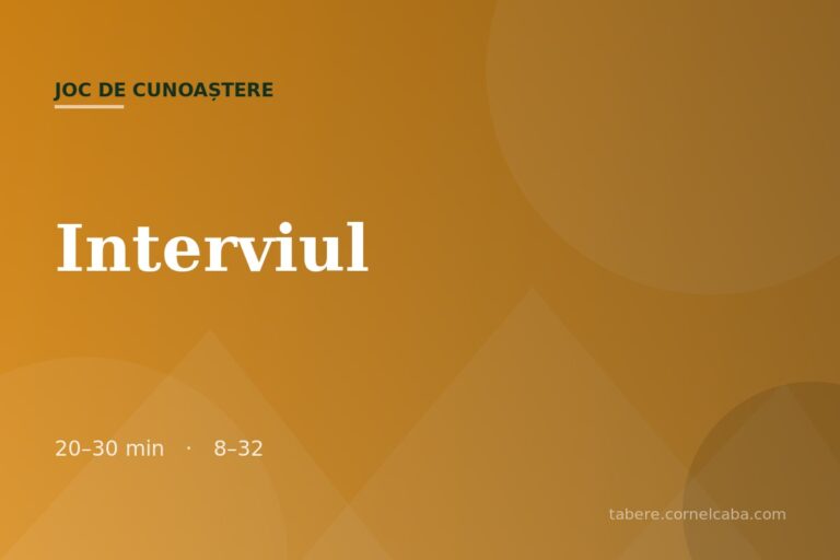 Ilustrație pentru jocul Interviul