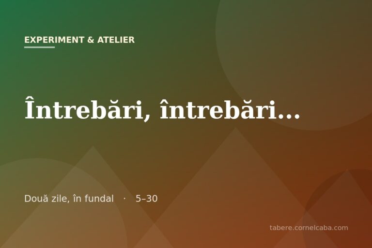 Ilustrație pentru jocul Întrebări, întrebări…