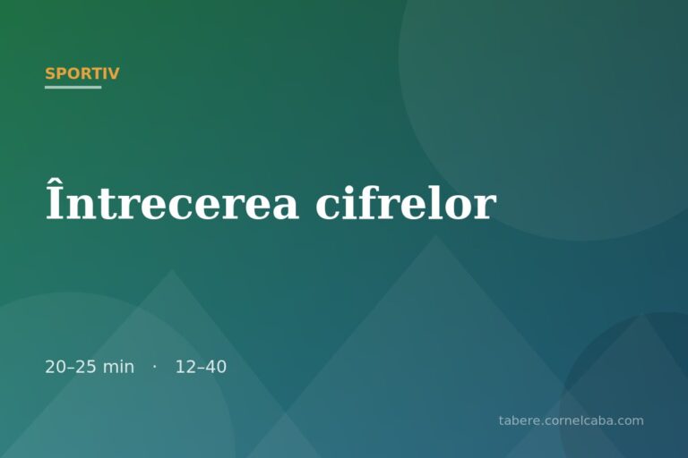 Ilustrație pentru jocul Întrecerea cifrelor