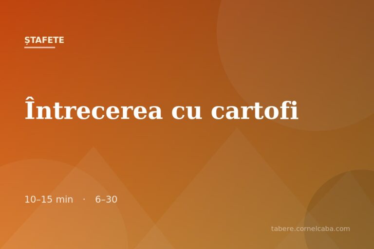 Ilustrație pentru jocul Întrecerea cu cartofi