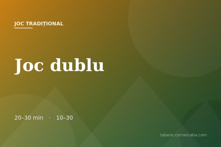 Ilustrație pentru jocul Joc dublu