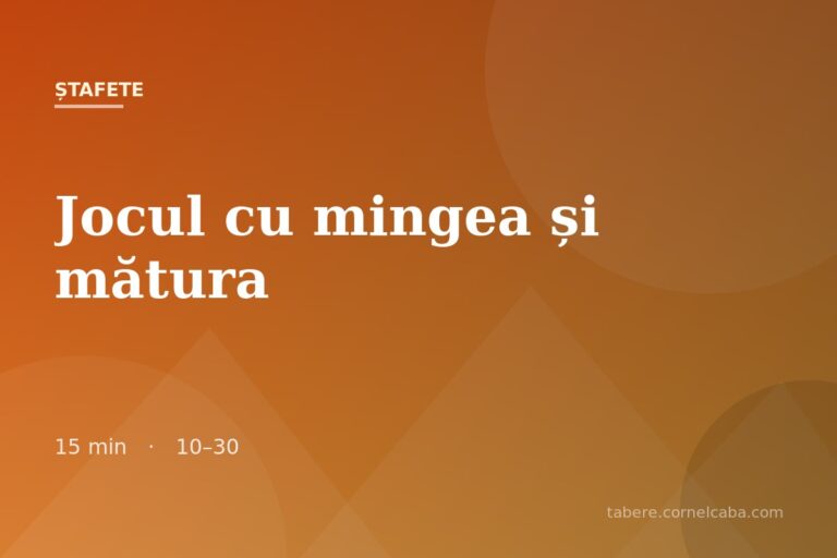 Ilustrație pentru jocul Jocul cu mingea și mătura