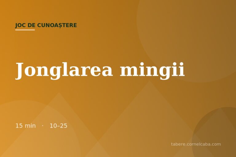 Ilustrație pentru jocul Jonglarea mingii