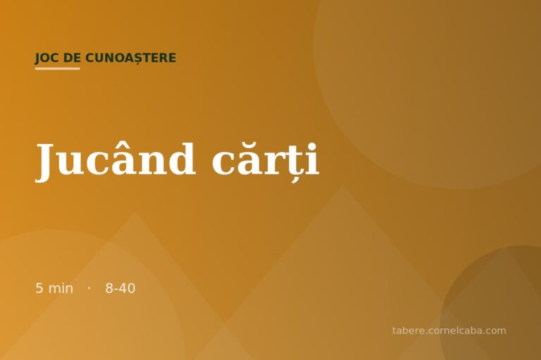 Ilustrație pentru jocul Jucând cărți
