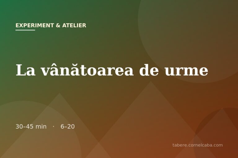 Ilustrație pentru jocul La vânătoarea de urme