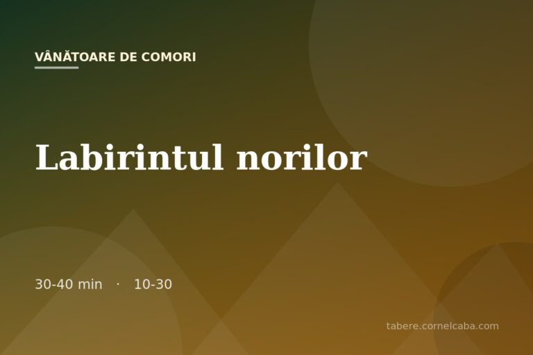 Ilustrație pentru jocul Labirintul norilor