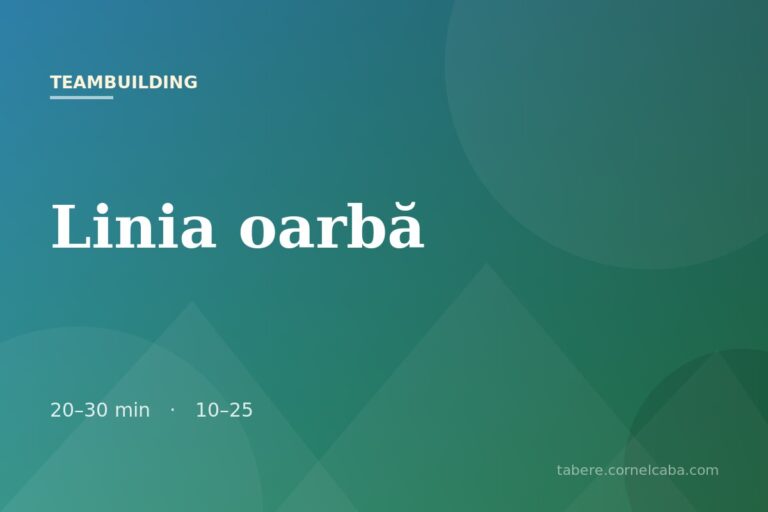 Ilustrație pentru jocul Linia oarbă