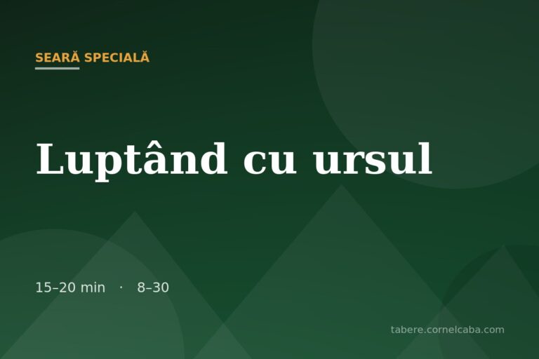 Ilustrație pentru jocul Luptând cu ursul