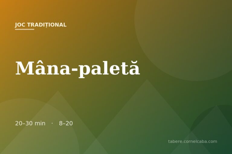 Ilustrație pentru jocul Mâna-paletă