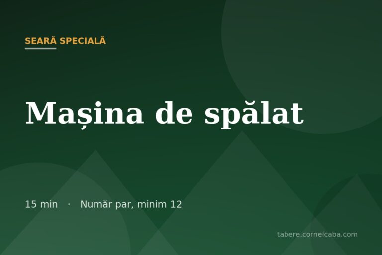 Ilustrație pentru jocul Mașina de spălat