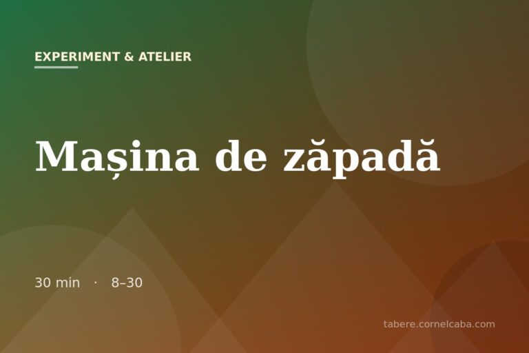 Ilustrație pentru jocul Mașina de zăpadă