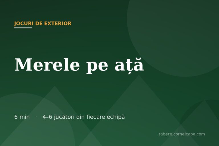 Ilustrație pentru jocul Merele pe ață