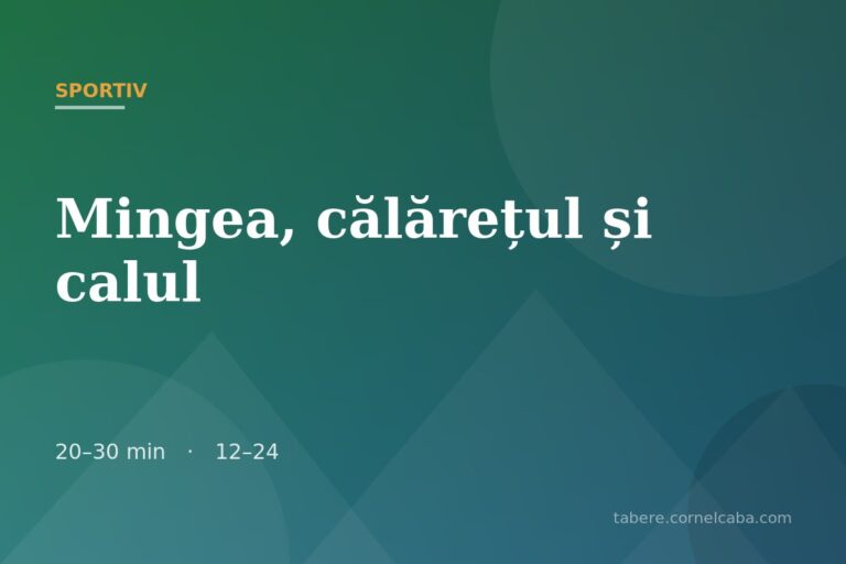 Ilustrație pentru jocul Mingea, călărețul și calul