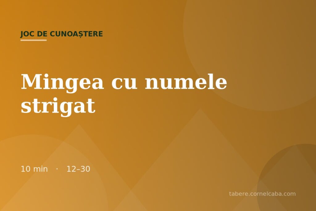 Ilustrație pentru jocul Mingea cu numele strigat