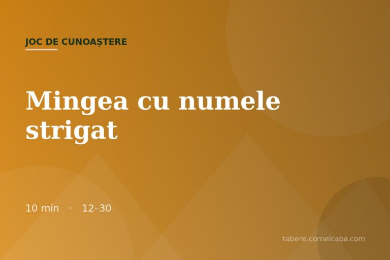 Ilustrație pentru jocul Mingea cu numele strigat