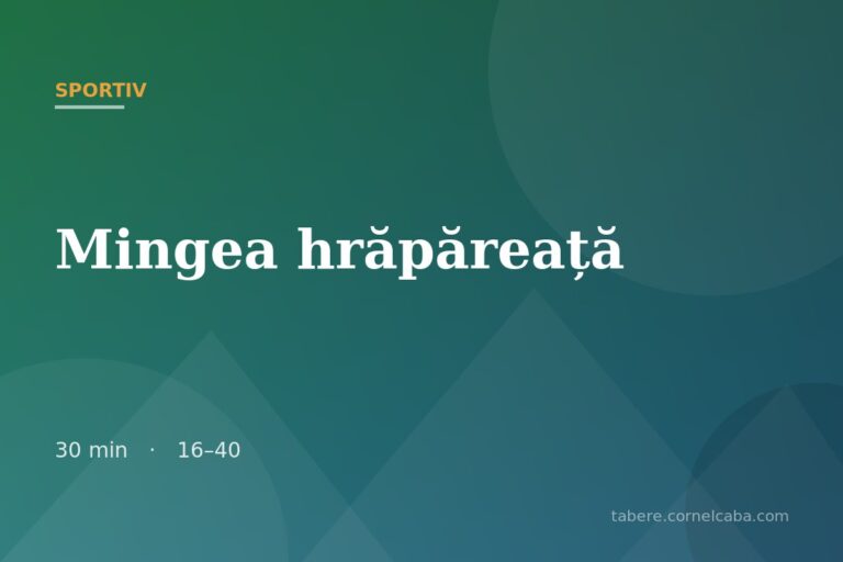 Ilustrație pentru jocul Mingea hrăpăreață