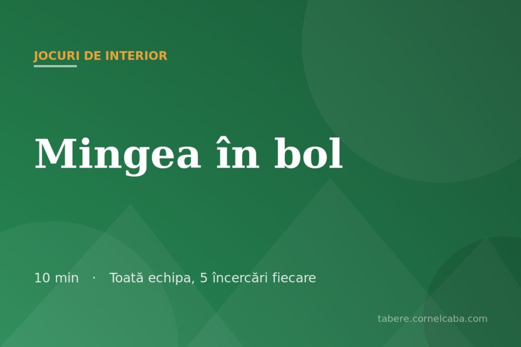 Ilustrație pentru jocul Mingea în bol