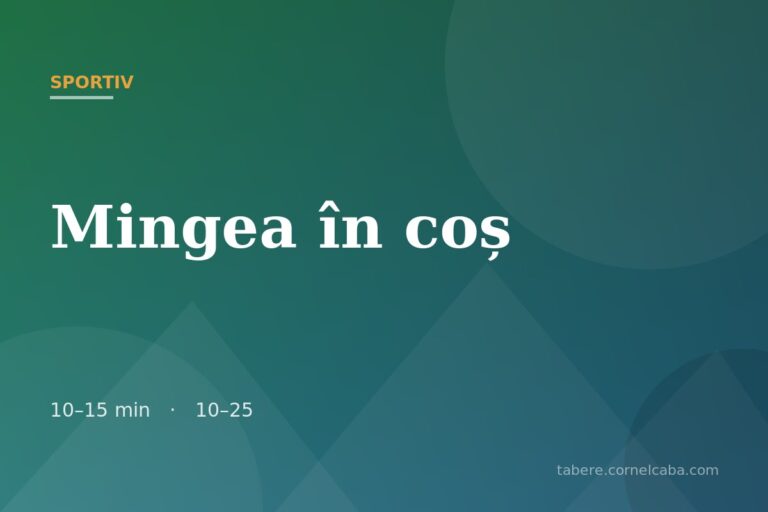 Ilustrație pentru jocul Mingea în coș