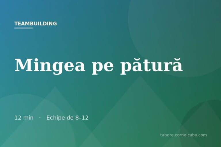 Ilustrație pentru jocul Mingea pe pătură