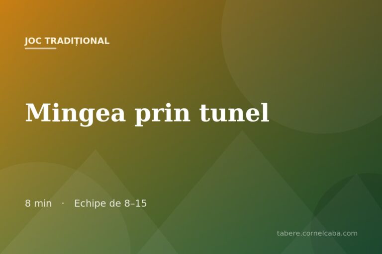 Ilustrație pentru jocul Mingea prin tunel