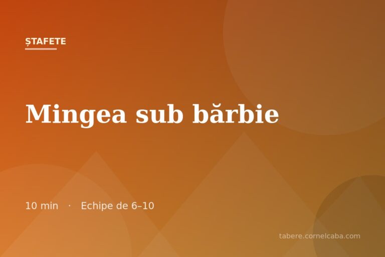 Ilustrație pentru jocul Mingea sub bărbie