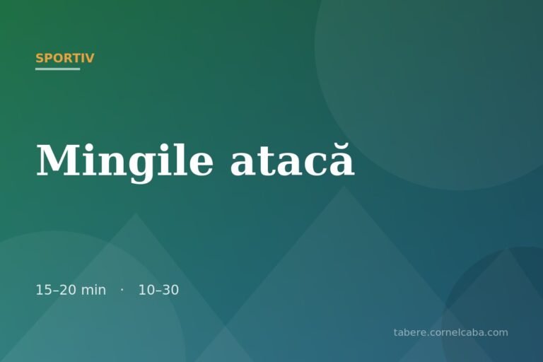 Ilustrație pentru jocul Mingile atacă