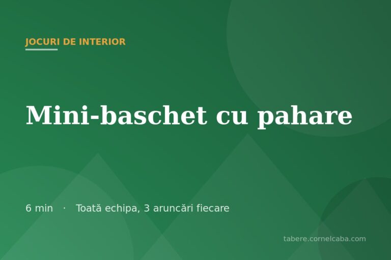 Ilustrație pentru jocul Mini-baschet cu pahare