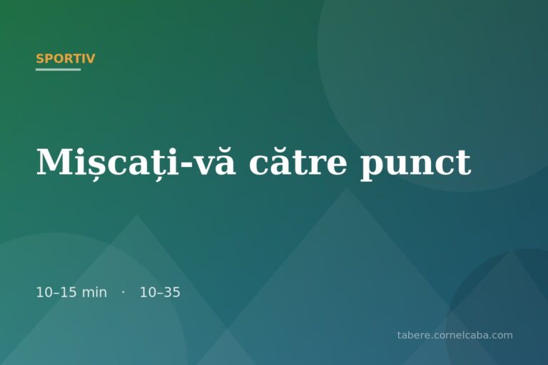 Ilustrație pentru jocul Mișcați-vă către punct