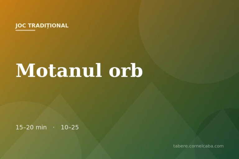 Ilustrație pentru jocul Motanul orb