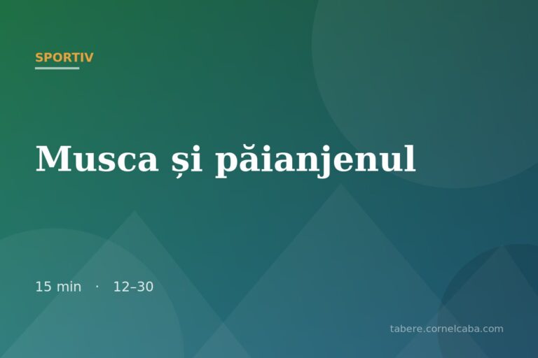 Ilustrație pentru jocul Musca și păianjenul