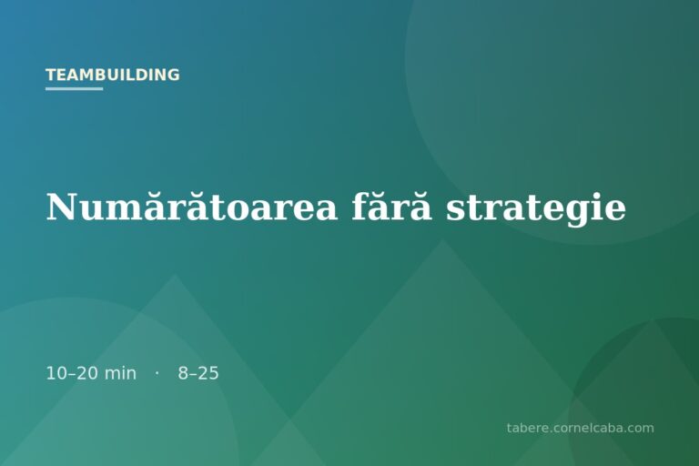 Ilustrație pentru jocul Numărătoarea fără strategie