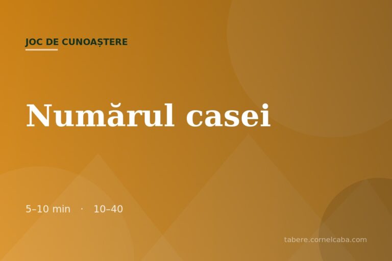 Ilustrație pentru jocul Numărul casei