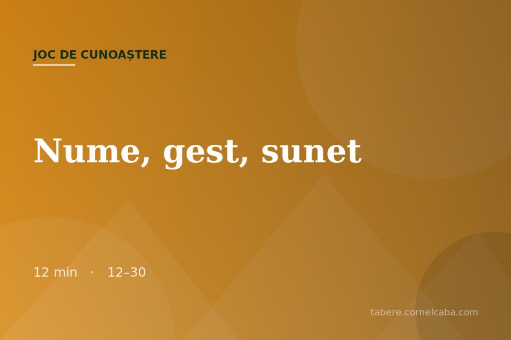 Ilustrație pentru jocul Nume, gest, sunet