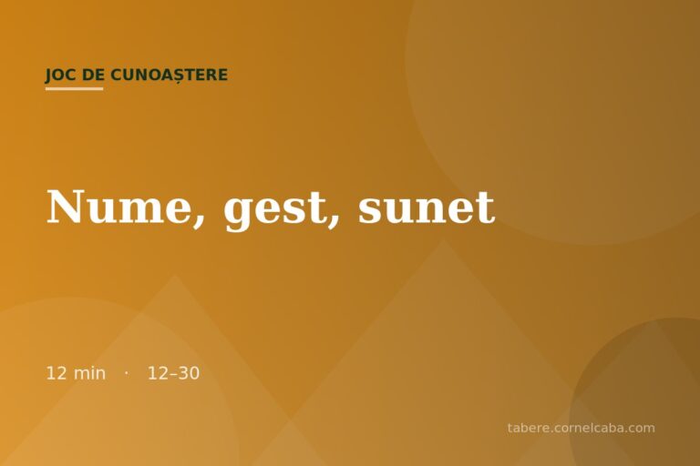 Ilustrație pentru jocul Nume, gest, sunet