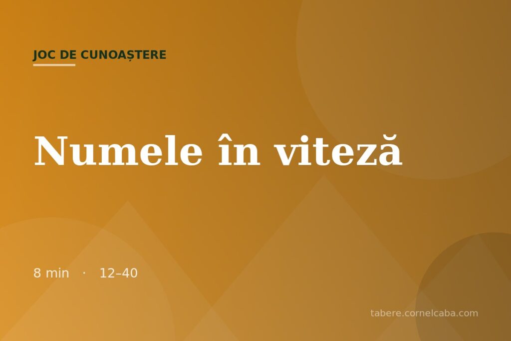 Ilustrație pentru jocul Numele în viteză